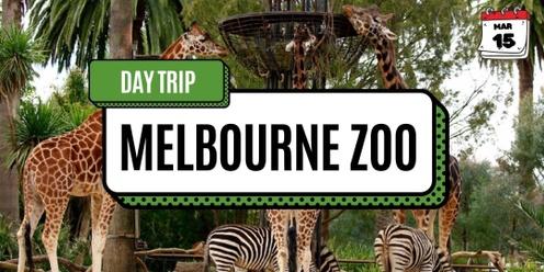 Melbourne Zoo Day Trip