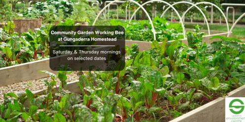 Community Garden Working Bee