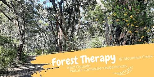 Forest Therapy at Mountain Creek 18 Feb 23