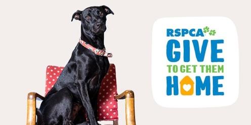 RSPCA Queensland’s Give To Get Them Home Appeal Toowoomba 2023