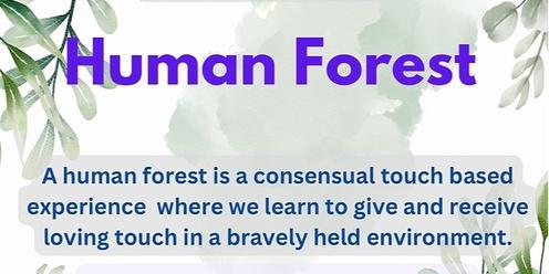 Human Forest Ballarat