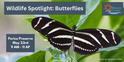Wildlife Spotlight: Butterflies