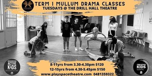 Mullumbimby Drill Hall Drama Tuesdays 12-15yrs Term 1 2023