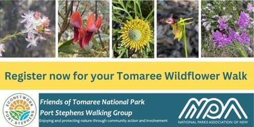 Tomaree Spring Wildflower Walks