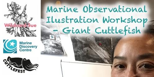Marine Observational Illustration Workshop - Giant Cuttlefish