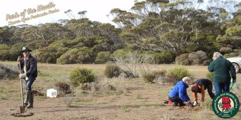 Tree Planting and BBQ with the Friends of Southern Eyre Peninsula Parks