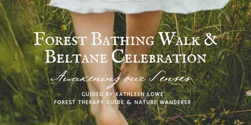 Forest Bathing Walk & Celebration of Beltane
