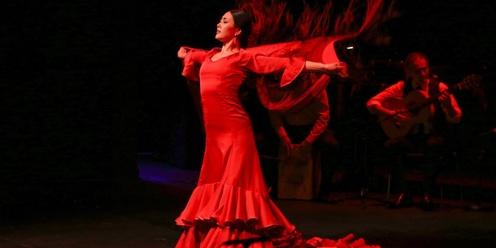 Senes Flamenco Dance Show