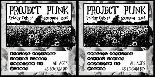 Project Punk
