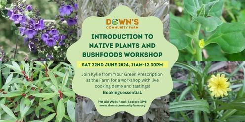 Introduction to Native Plants and Bushfoods workshop with Your Green Prescription. 