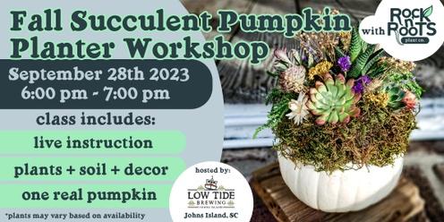 Fall Succulent Pumpkin Planter Workshop at Low Tide Brewing (Johns Island, SC)