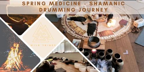 Spring Medicine: Women's Shamanic Journey Circle