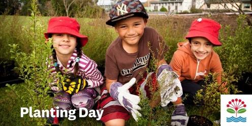 Mutukāroa / Hamlins Hill Regional Park - Planting Day