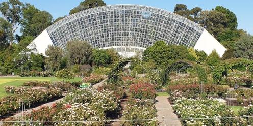 Guided Walk through Adelaide Botanic Garden (Park 11)