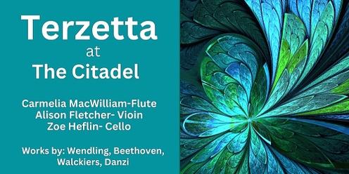Terzetta-Trio with flute, violin and cello