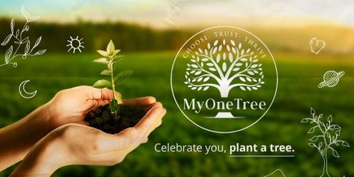 Celebrate you, plant a tree