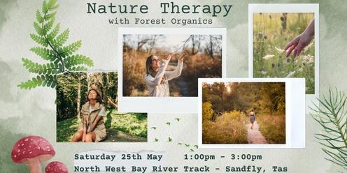 Nature Therapy with Forest Organics: Saturday 25th May - Sandfly, Tasmania