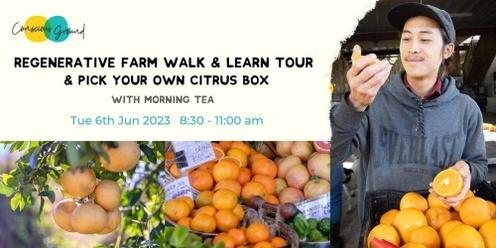 Regenerative Farm Walk & Learn Tour at Conscious Ground Organics and Pick Your Own Citrus