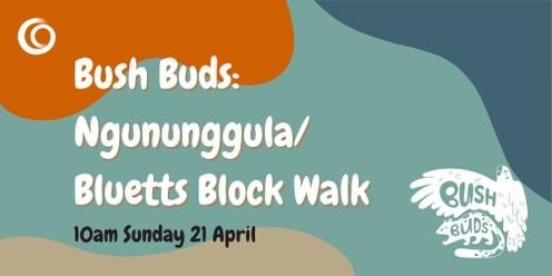 Ngununggula / Bluetts Block Bush Buds Walk