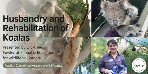 Husbandry and Rehabilitation of Koalas presented by Dr. Anne Fowler