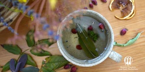 Nature Based Wellbeing: Botanical Tea Blending