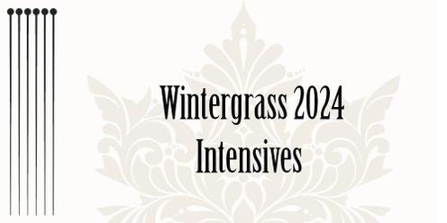 Wintergrass 2024 Intensives (adult education)