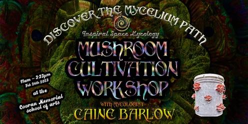 Discover the Mycelium Path