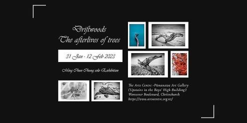 Driftwoods - The afterlives of trees photo exhibition