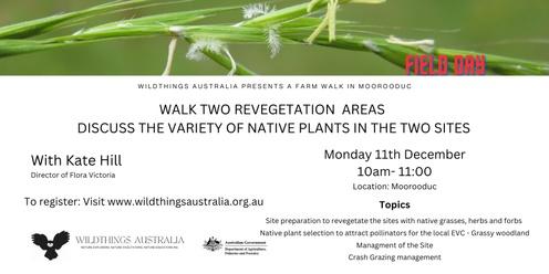 Walk two revegetation areas, discuss the variety of native plants in the two sites