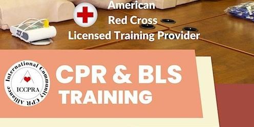 Red Cross Adult/Pediatric First Aid/CPR/AED Course