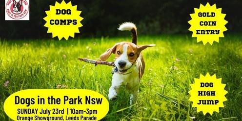 Dogs in the park NSW Orange - Dog High Jump 