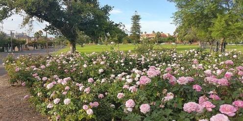 Guided Walk through Brougham Gardens & Palmer Gardens (Parks 28 & 29)