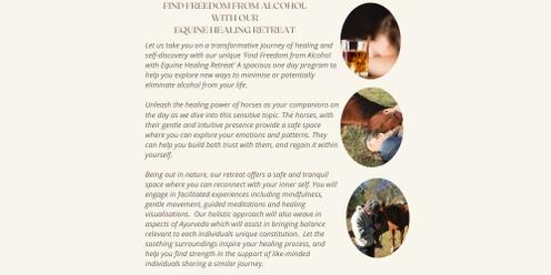 Find Freedom from Alcohol with our Equine Healing retreat