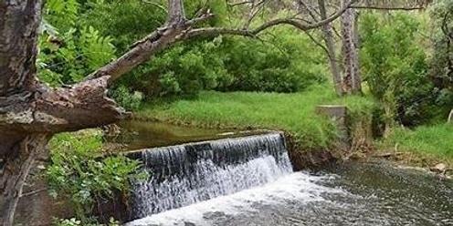 Guided Walk: historic Brownhill Creek Recreation Park 
