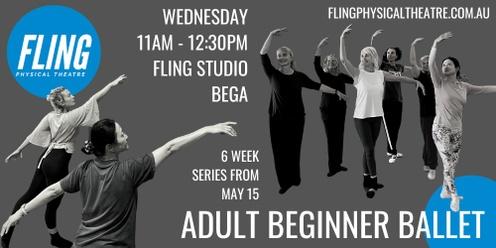 Beginner Adult Ballet Bega - 6 week series