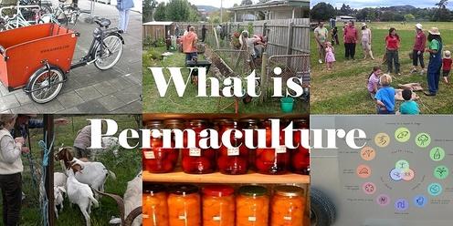 What is Permaculture? - November