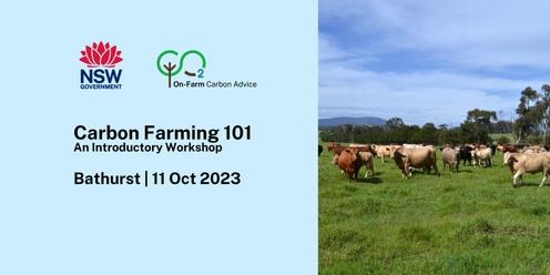 Carbon Farming 101 - an introductory workshop - Bathurst